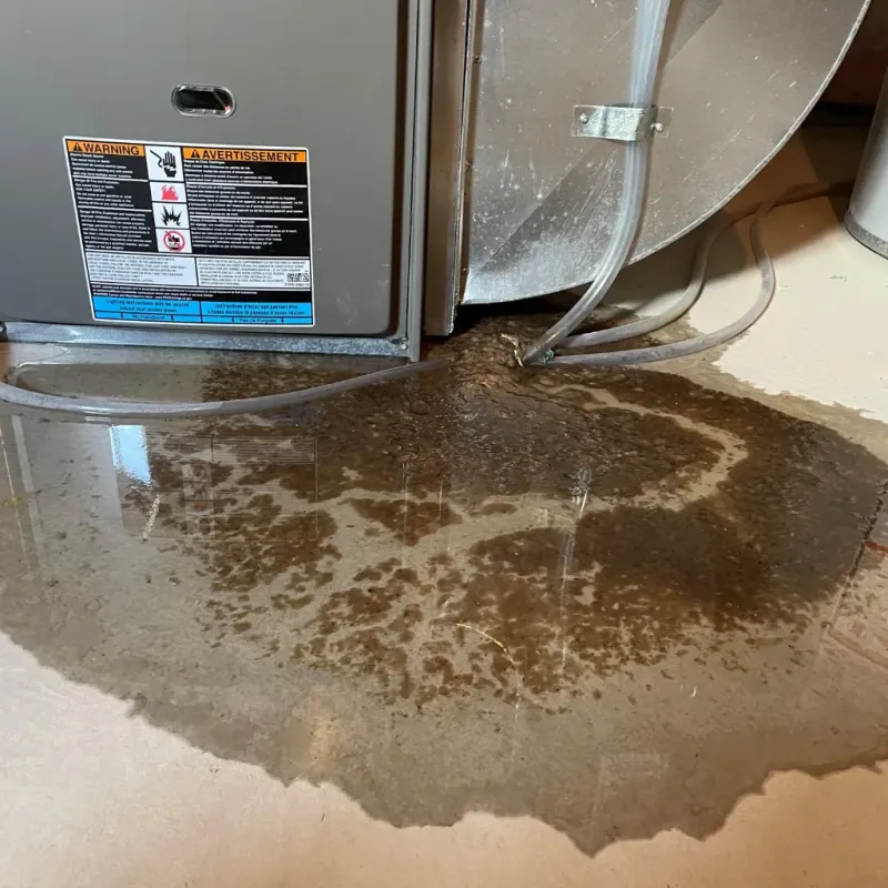 Appliance Leak Cleanup in Jericho, VT